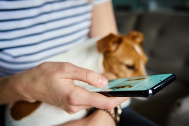 Stop Pet Illness Before Symptoms